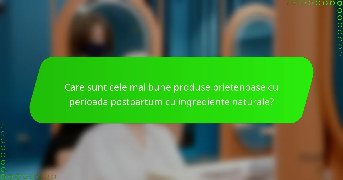 Care sunt cele mai bune produse prietenoase cu perioada postpartum cu ingrediente naturale?