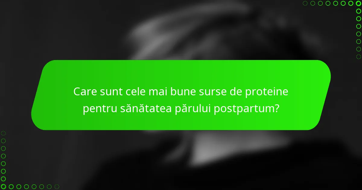 Care sunt cele mai bune surse de proteine pentru sănătatea părului postpartum?